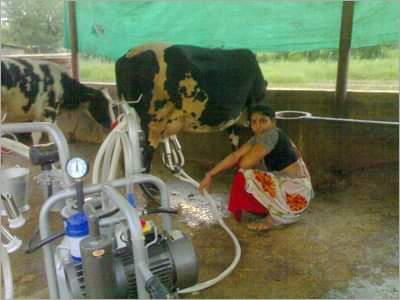 PSU Milking Parlour Milk Flow Meter Milk Measuring Device Milk Measuring Bottle 