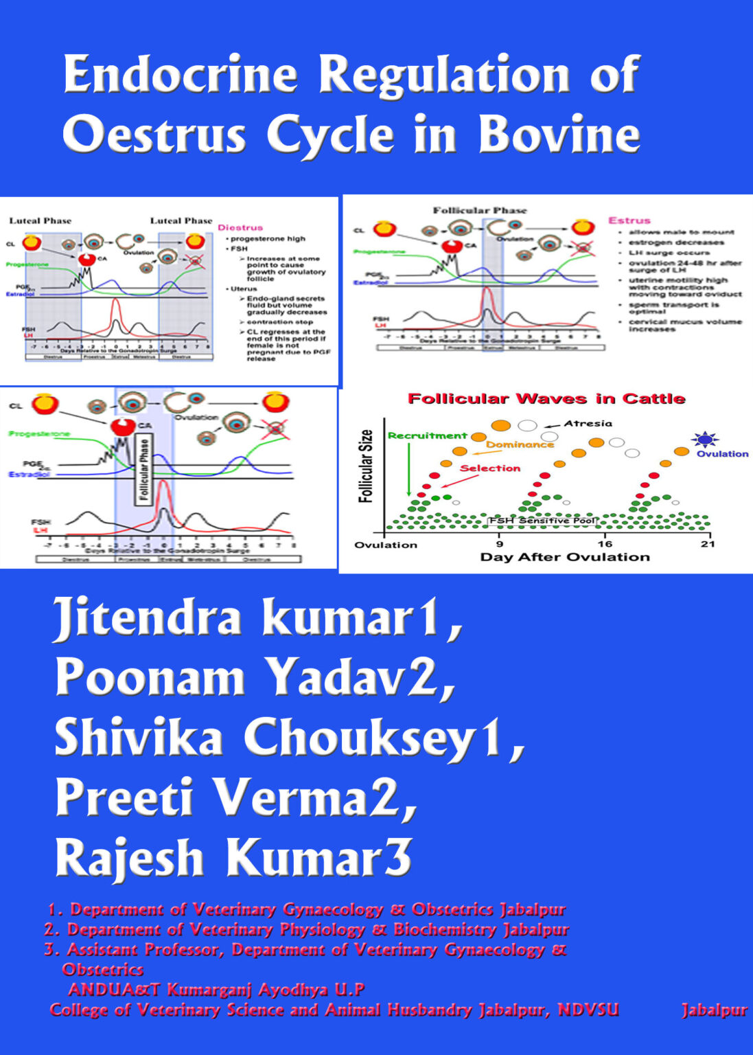 Endocrine Regulation Of Oestrus Cycle In Bovine Pashudhan Praharee