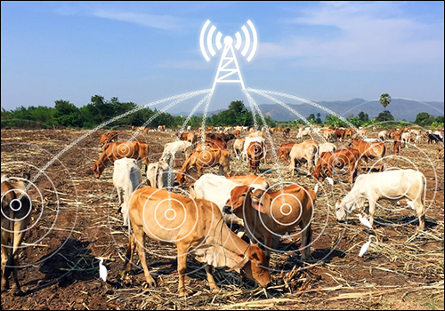 APPLICATION OF ARTIFICIAL INTELLIGENCE (AI) FOR LIVESTOCK & POULTRY FARM  MONITORING – Pashudhan praharee
