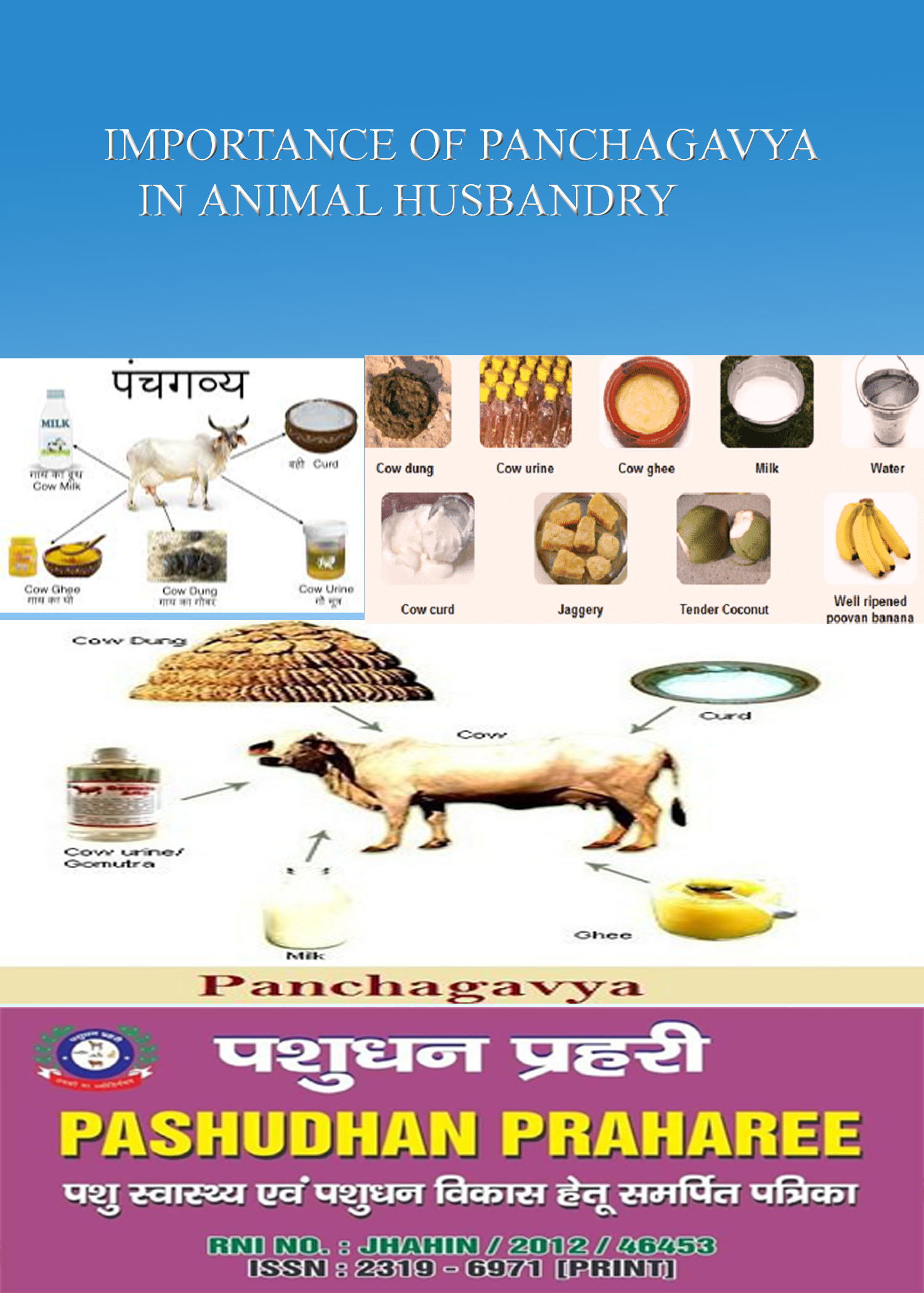 IMPORTANCE OF PANCHAGAVYA (पंचगव्य ) ANIMAL HUSBANDRY – Pashudhan praharee