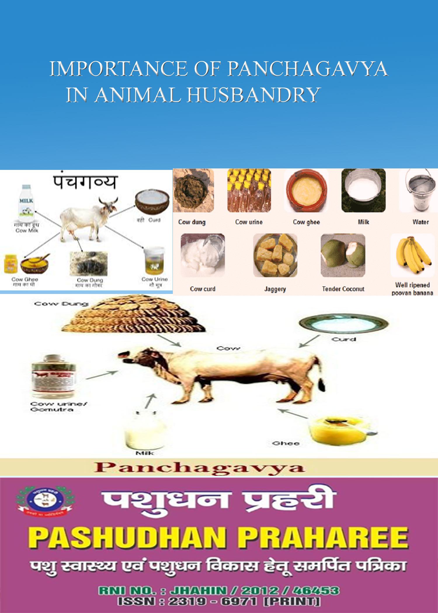 IMPORTANCE OF PANCHAGAVYA (पंचगव्य ) ANIMAL HUSBANDRY – Pashudhan praharee IMPORTANCE OF PANCHAGAVYA (पंचगव्य ) ANIMAL HUSBANDRY – Pashudhan praharee