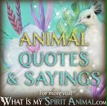 WORLD FAMOUS ANIMALS SAYINGS & QUOTES – Pashudhan praharee WORLD FAMOUS ANIMALS SAYINGS & QUOTES – Pashudhan praharee
