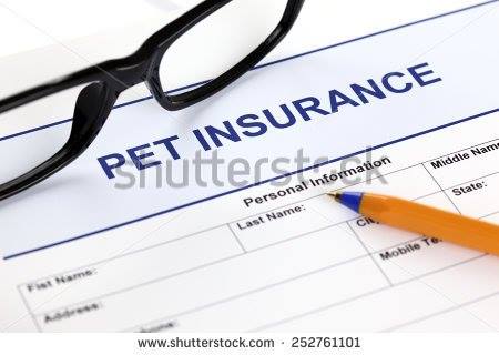ONLINE PET INSURANCE PLAN AS A BOON FOR PET & OWNER'S IN INDIA – Pashudhan  praharee