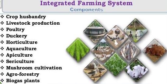 Income generation and nutritional security through Livestock Based  Integrated Farming System – Pashudhan praharee