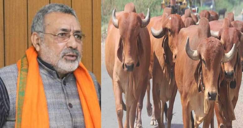 E-MAIL ADDRESSES OF THE DIRECTOR ANIMAL HUSBANDRY OF STATES – Pashudhan praharee E-MAIL ADDRESSES OF THE DIRECTOR ANIMAL HUSBANDRY OF STATES – Pashudhan praharee