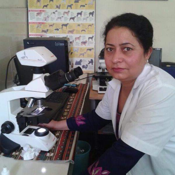 The Legend vet, Dr Parvinder kaur Lubana – Pashudhan praharee The Legend vet, Dr Parvinder kaur Lubana – Pashudhan praharee