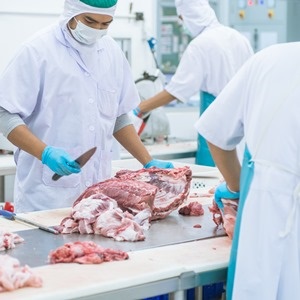 SLAUGHTERING TECHNIQUES , POST-MORTEM INSPECTIONS & MEAT HYGIENE  /SANITATION IN MEAT AND POULTRY – Pashudhan praharee
