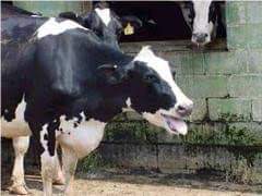 THERAPEUTIC MANAGEMENT OF HEAT STROKE OR HYPERTHERMIA IN CATTLE – Pashudhan  praharee