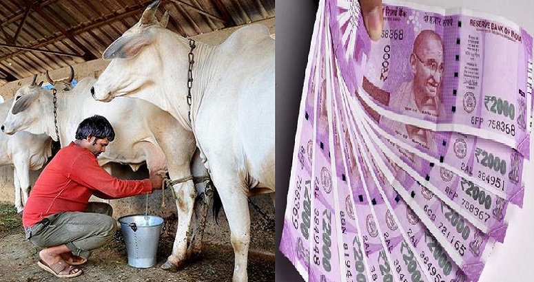 OPPORTUNITY FOR DAIRY FARMERS TO AVAIL LOAN UP TO 7 LAKH WITH 33% SUBSIDY FROM NABARD – Pashudhan praharee OPPORTUNITY FOR DAIRY FARMERS TO AVAIL LOAN UP TO 7 LAKH WITH 33% SUBSIDY FROM NABARD – Pashudhan praharee