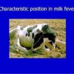 FB_IMG_1593737467596.jpg