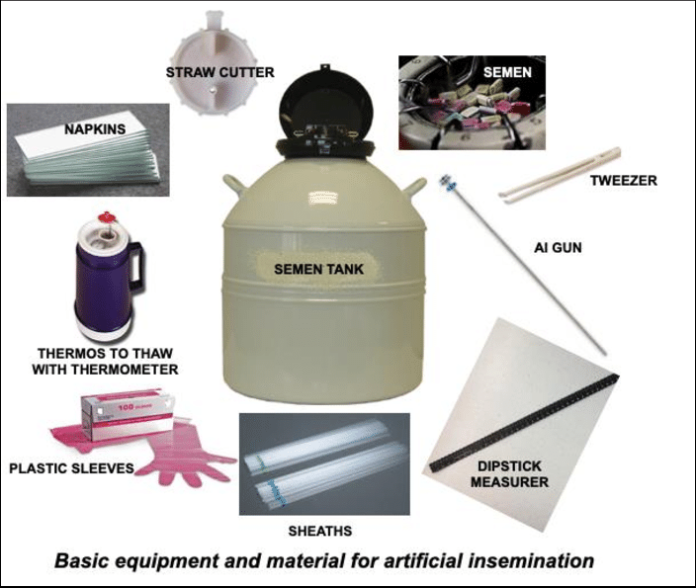 UPKEEPMENT OF SEMEN AND AI EQUIPMENTS UPKEEPMENT OF SEMEN AND AI EQUIPMENTS