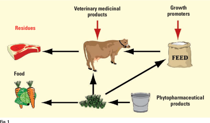 Presence of Antibiotic Residues in livestock product