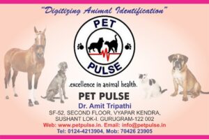 Compulatory Tie DOG KNOT STUCK OR COPULATORY TIE – Pashudhan praharee