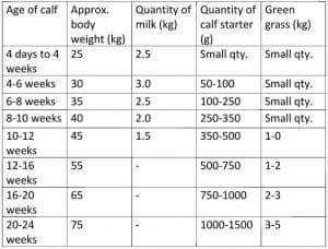 Calf Chart