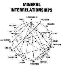ROLE OF MINERALS IN LIVESTOCK PRODUCTION – Pashudhan praharee ROLE OF MINERALS IN LIVESTOCK PRODUCTION – Pashudhan praharee