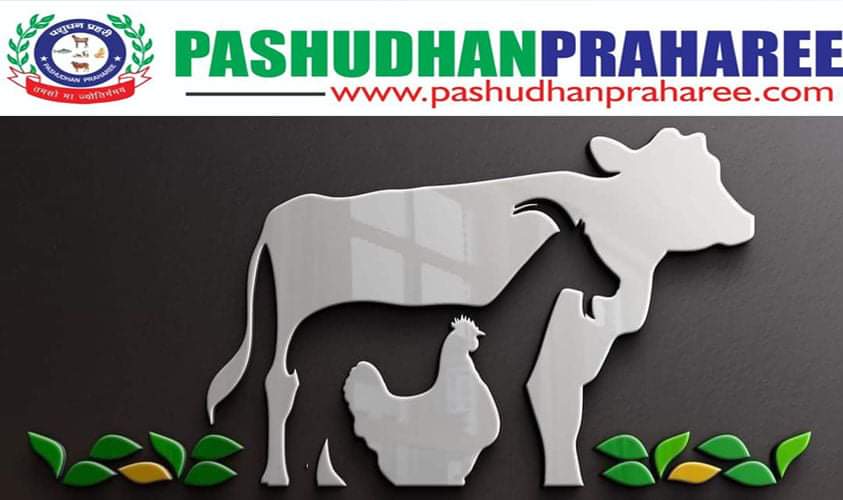 COMMON VICES OF ANIMALS, DETECTION, THEIR PREVENTION AND CARE – Pashudhan praharee COMMON VICES OF ANIMALS, DETECTION, THEIR PREVENTION AND CARE – Pashudhan praharee