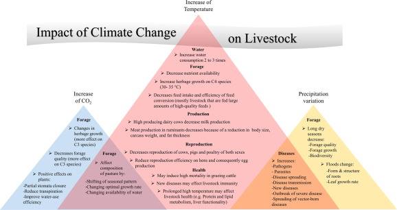 climate change