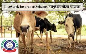 CONCEPT OF CATTLE INSURANCE IN INDIA – Pashudhan praharee