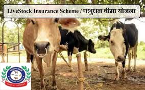CONCEPT OF CATTLE INSURANCE IN INDIA – Pashudhan praharee CONCEPT OF CATTLE INSURANCE IN INDIA – Pashudhan praharee
