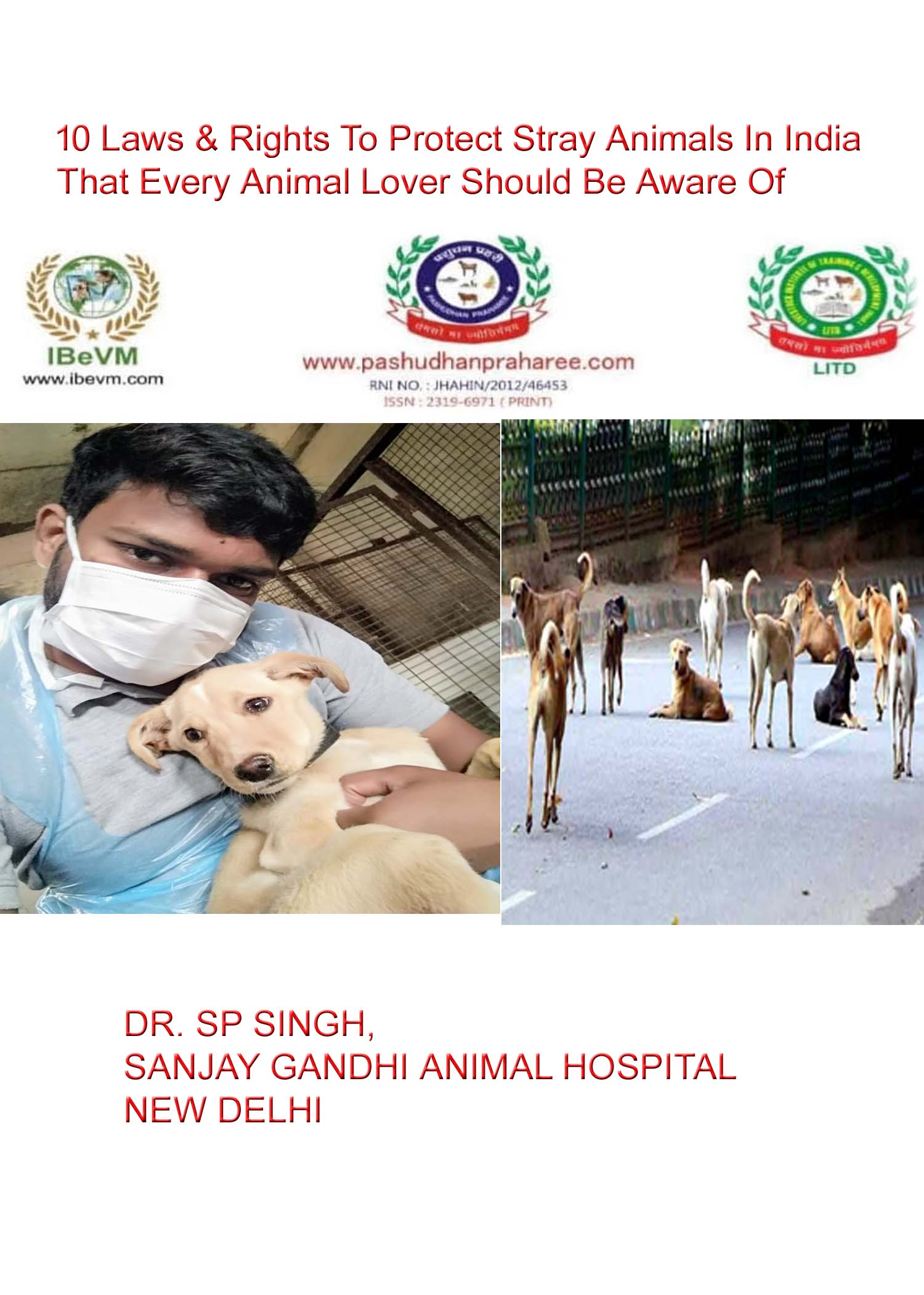 10 Laws & Rights To Protect Stray Animals In India That Every Animal Lover  Should Be Aware Of – Pashudhan praharee