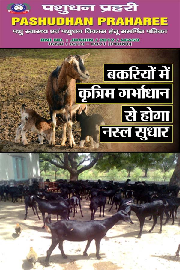 CONCEPT NOTES ON ARTIFICIAL INSEMINATION-AI IN GOAT – Pashudhan praharee CONCEPT NOTES ON ARTIFICIAL INSEMINATION-AI IN GOAT – Pashudhan praharee