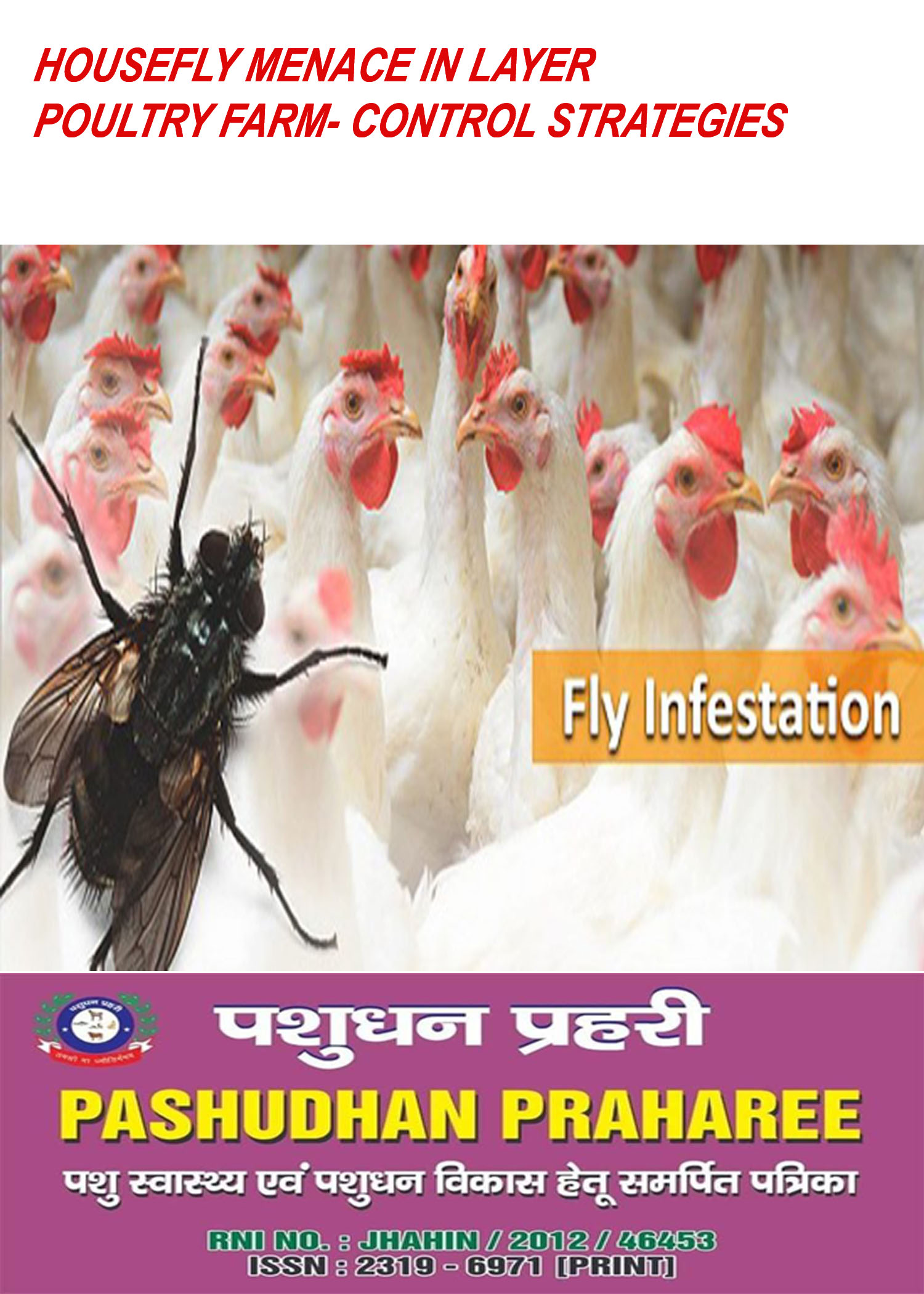 Farm fly 2025 control