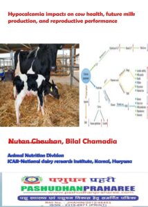 HYPOCALCEMIA IMPACTS ON DAIRY COW HEALTH | Pashudhan praharee