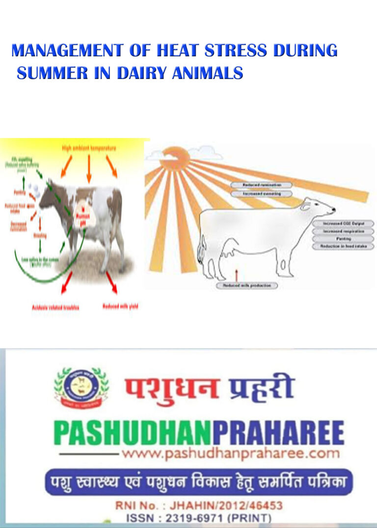 Heat Control In Animal MANAGEMENT OF HEAT STRESS DURING SUMMER IN DAIRY ANIMALS - Pashudhan ...
