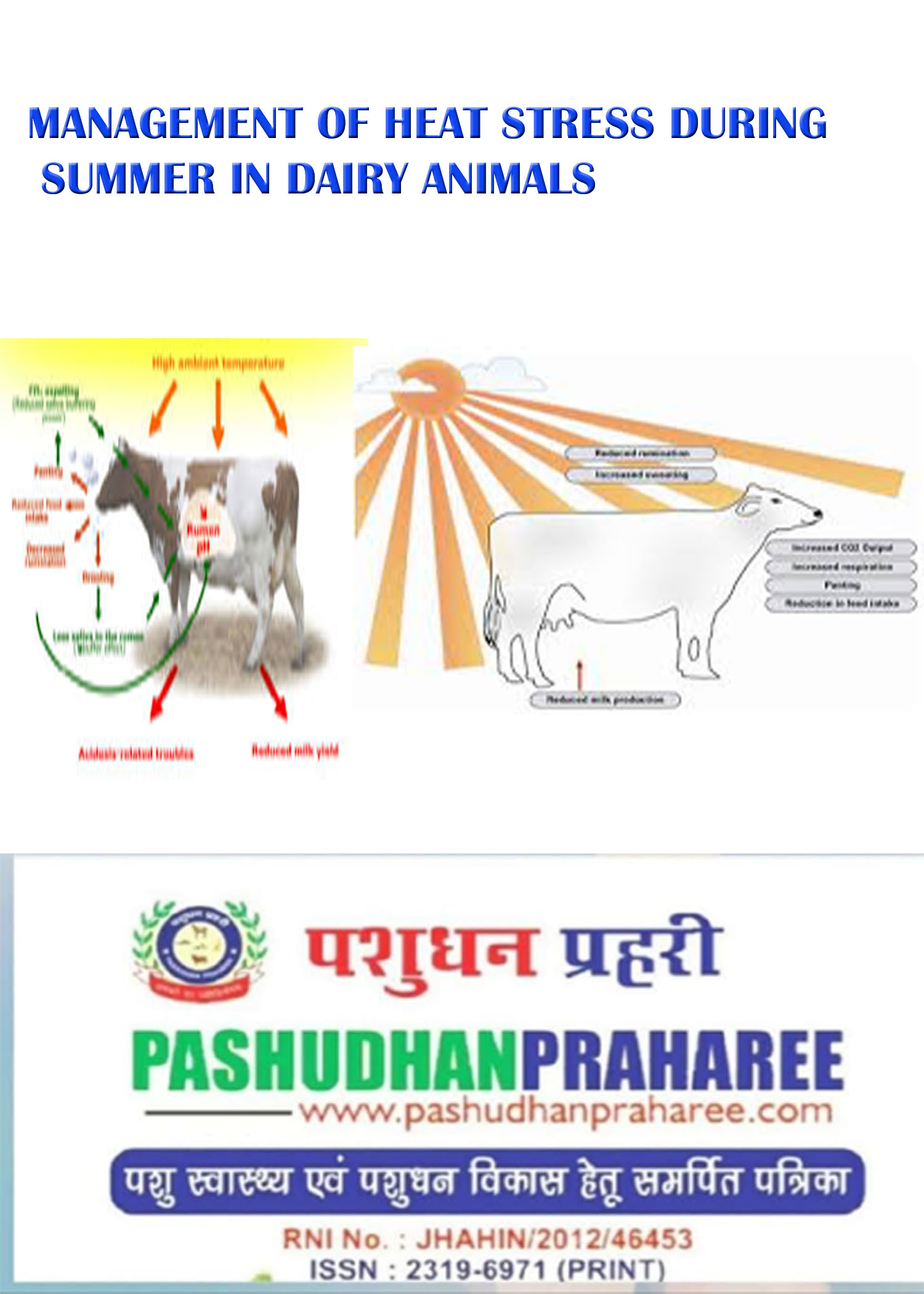 MANAGEMENT OF HEAT STRESS DURING SUMMER IN DAIRY ANIMALS – Pashudhan  praharee
