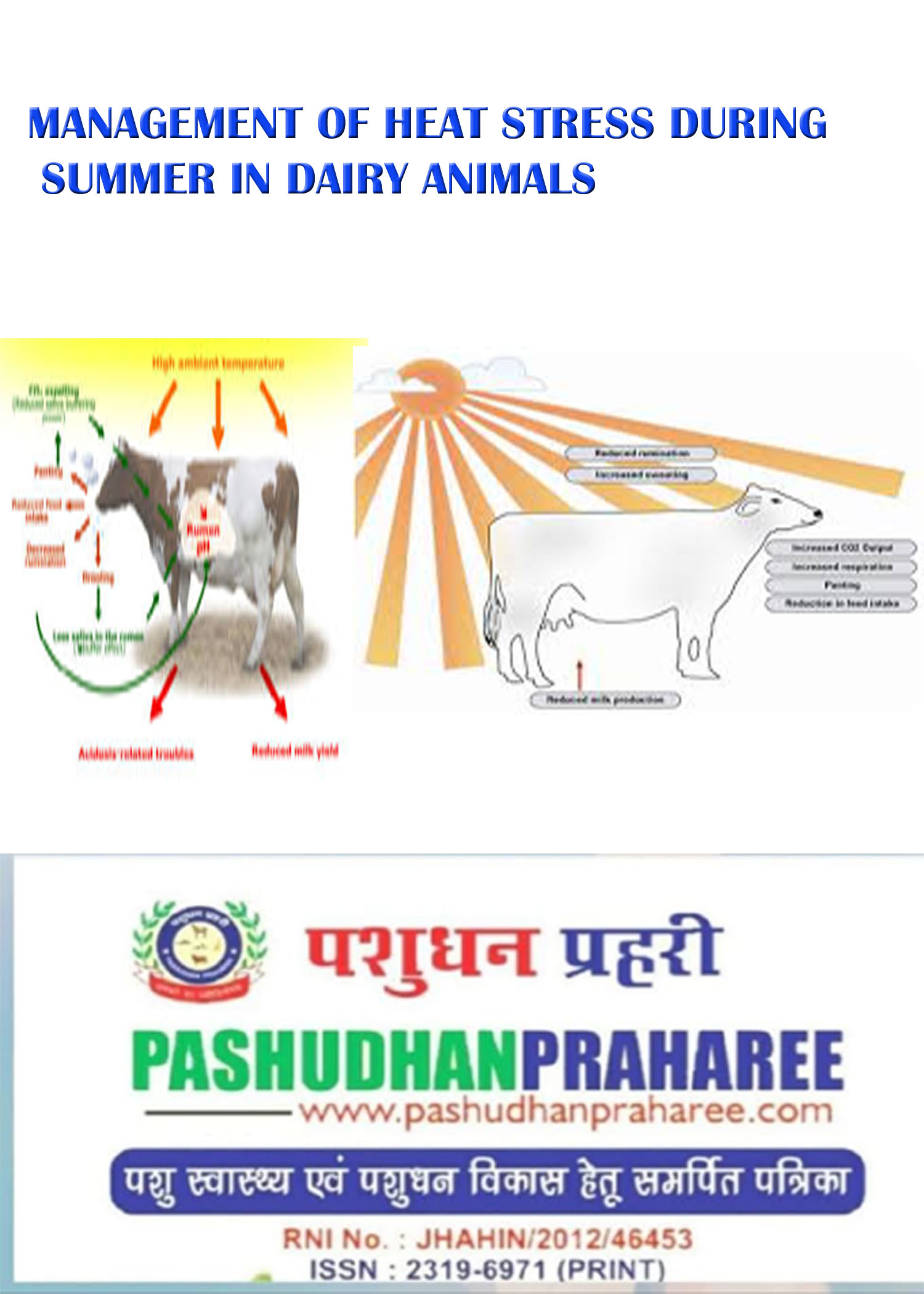 MANAGEMENT OF HEAT STRESS DURING SUMMER IN DAIRY ANIMALS – Pashudhan praharee MANAGEMENT OF HEAT STRESS DURING SUMMER IN DAIRY ANIMALS – Pashudhan praharee