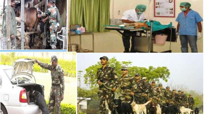 ROLE OF INDIAN VETERINARIANS IN WARFARE, EMERGENCY & NATION BUILDING