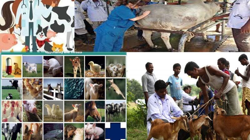 ROLE OF VETERINARIANS TO DOUBLE THE INCOME OF FARMERS