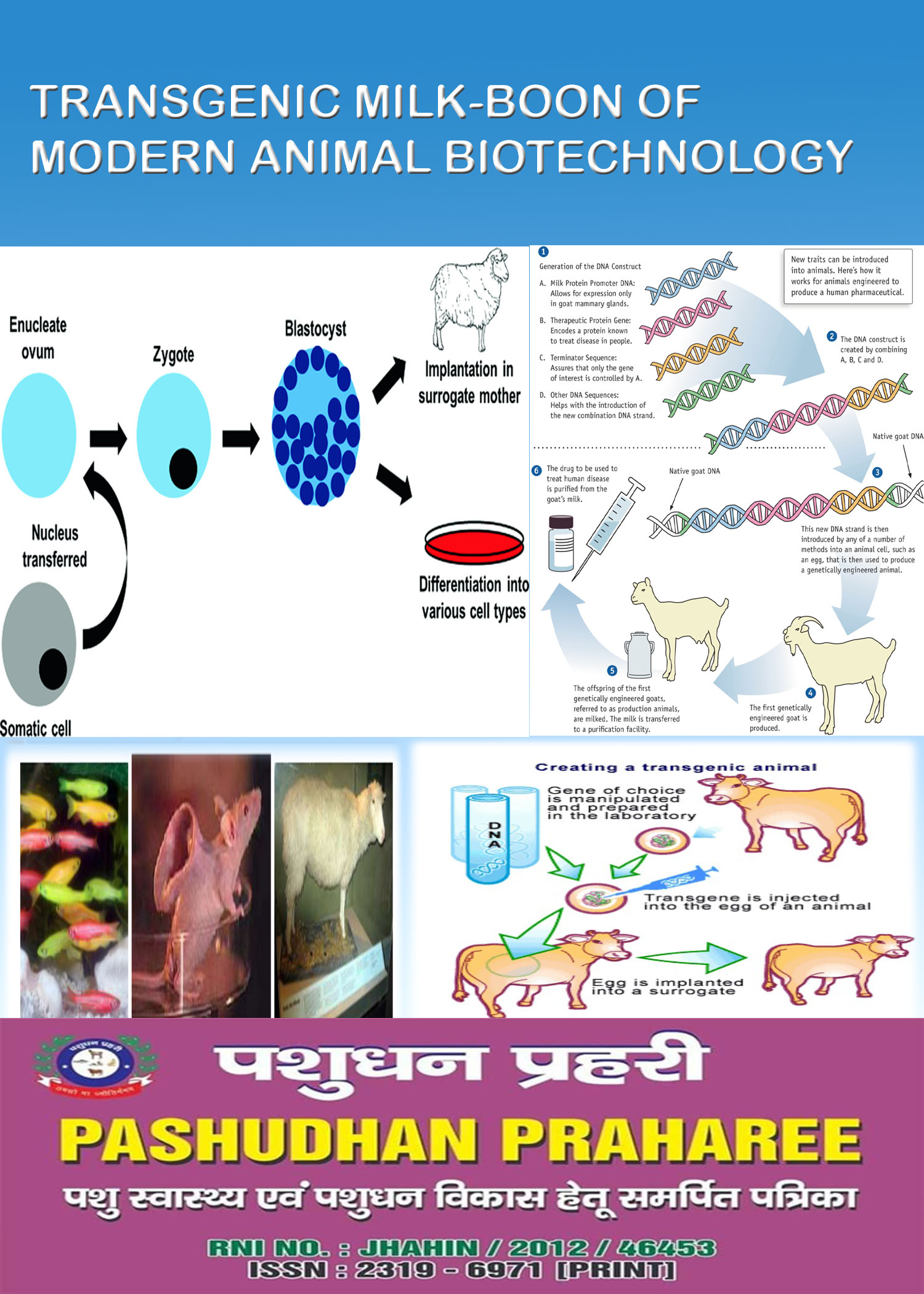 TRANSGENIC MILK-BOON OF MODERN ANIMAL BIOTECHNOLOGY – Pashudhan praharee
