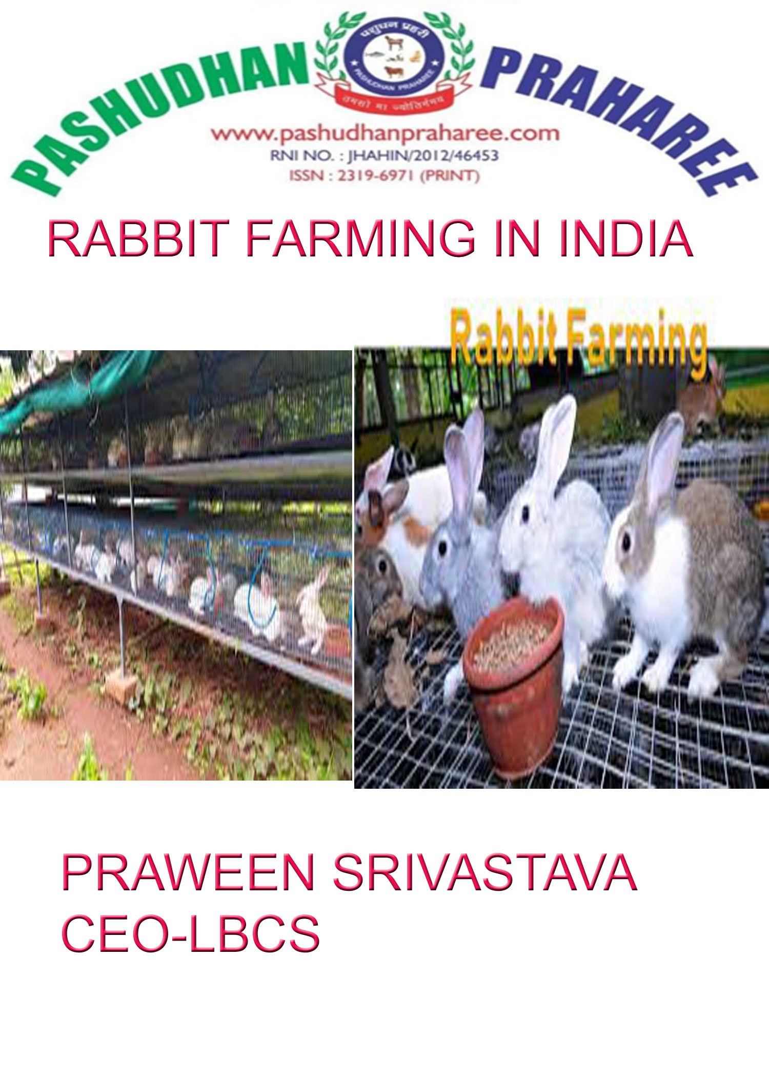 Production and Management Practices for Profitable Commercial Rabbit Farming in India Pashudhan praharee
