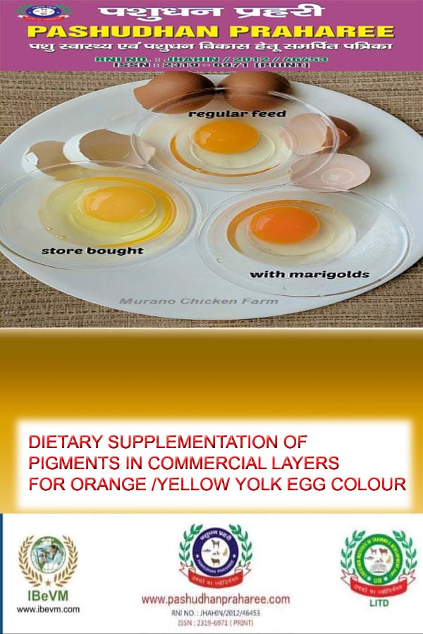 Egg Yolk Color Chart What Color Safe To Eat ??? vlr.eng.br