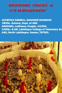 Brooding Systemsd BROODING OF CHICKS AND IT’S MANAGEMENT - Pashudhan Praharee