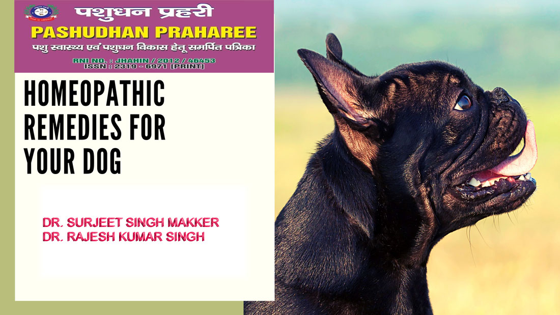 HOMEOPATHIC REMEDY FOR DOGS & CATS DISEASES – Pashudhan praharee