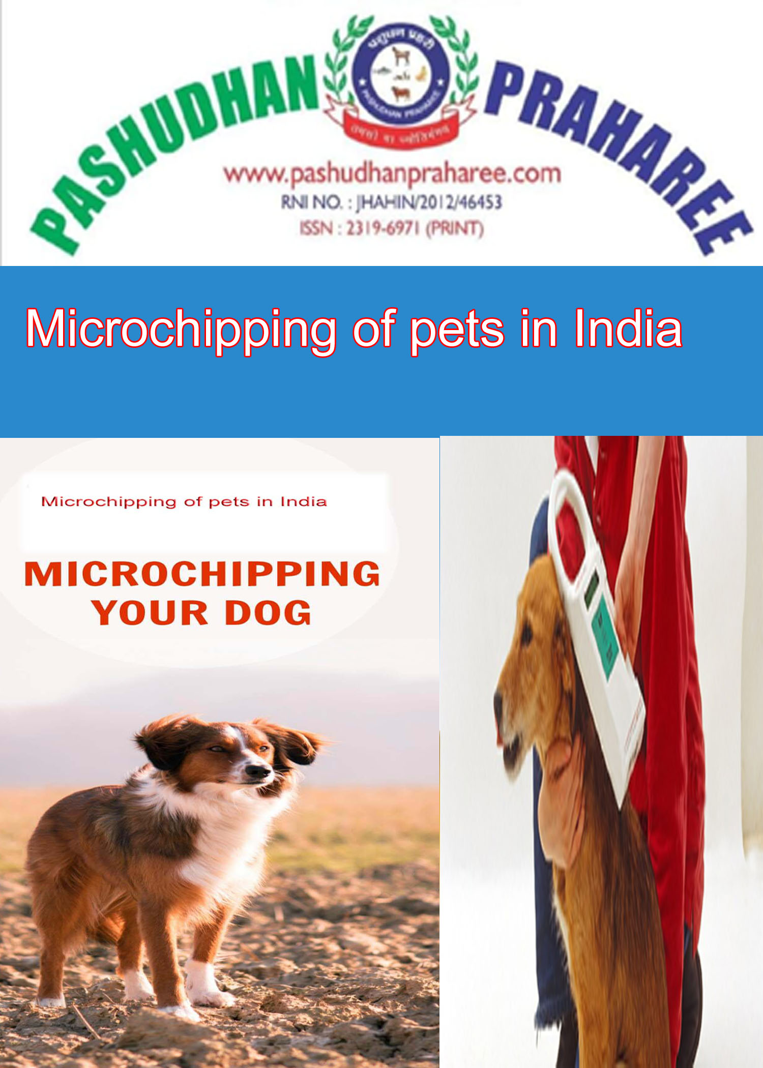 cat microchip cost in india