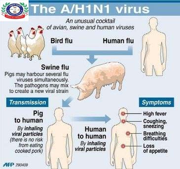 SWINE FLU- A ZOONOTIC DISEASE – Pashudhan praharee SWINE FLU- A ZOONOTIC DISEASE – Pashudhan praharee