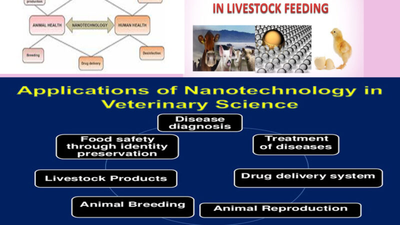 APPLICATIONS OF NANOTECHNOLOGY IN ANIMAL HUSBANDRY