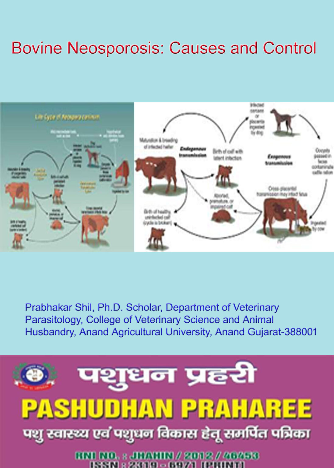 Bovine Neosporosis Causes and Control | Pashudhan praharee