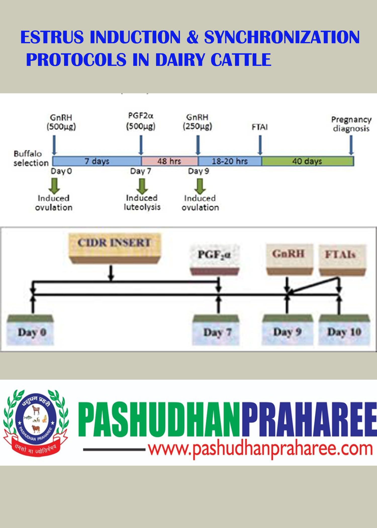 ESTRUS INDUCTION & SYNCHRONIZATION PROTOCOLS IN DAIRY CATTLE – Pashudhan  praharee