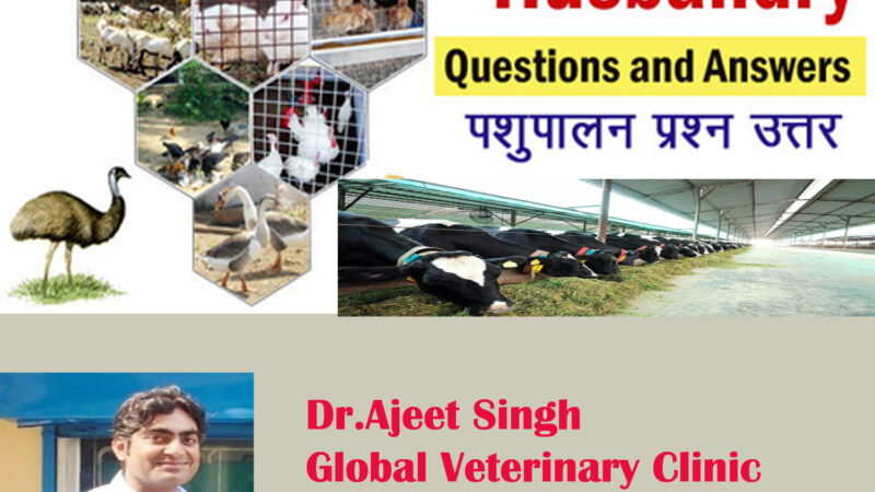 Global Veterinary Clinic and Surgery Centre, Gorakhpur