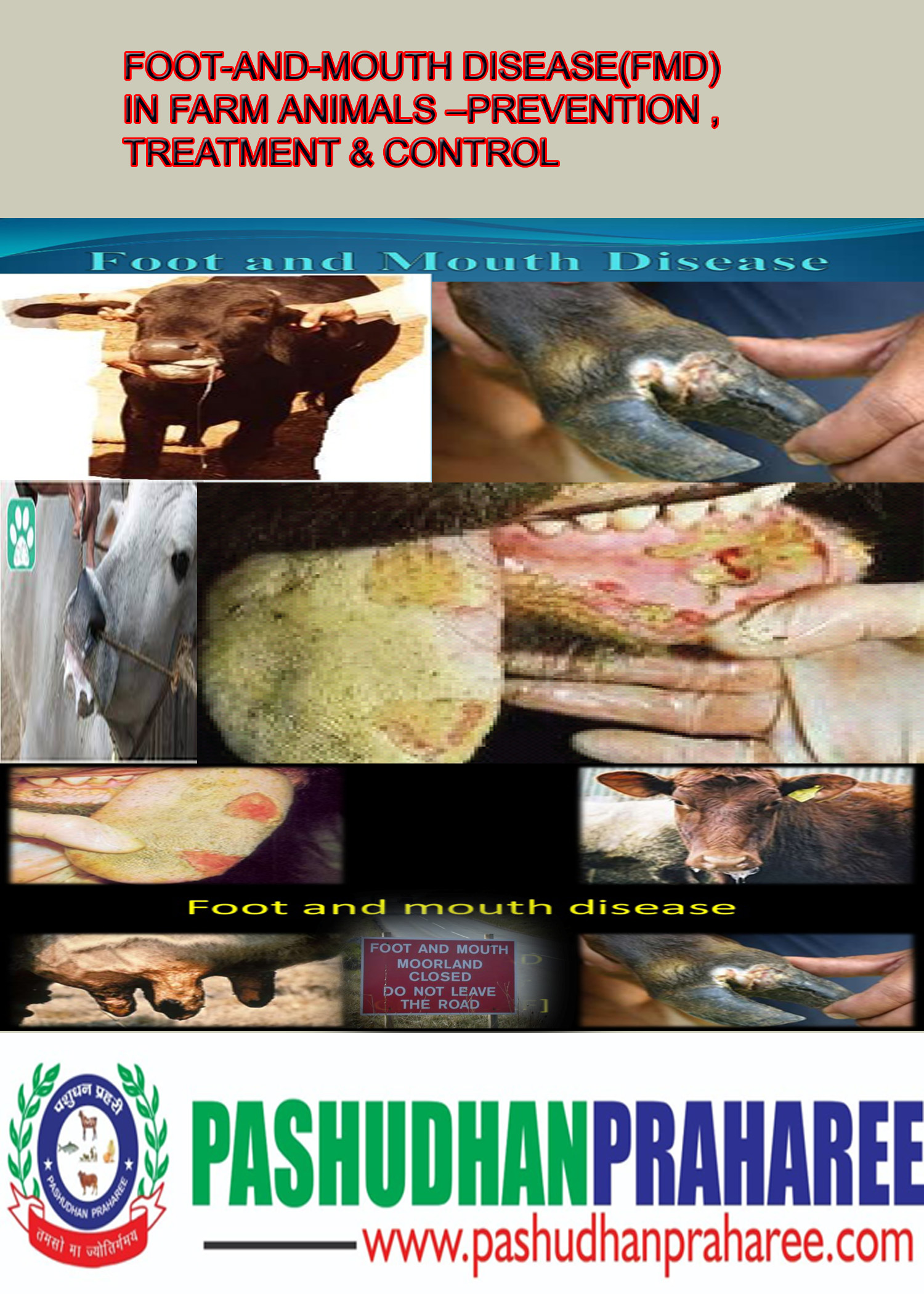 FOOT-AND-MOUTH DISEASE(FMD) IN FARM ANIMALS –PREVENTION ,TREATMENT &  CONTROL – Pashudhan praharee