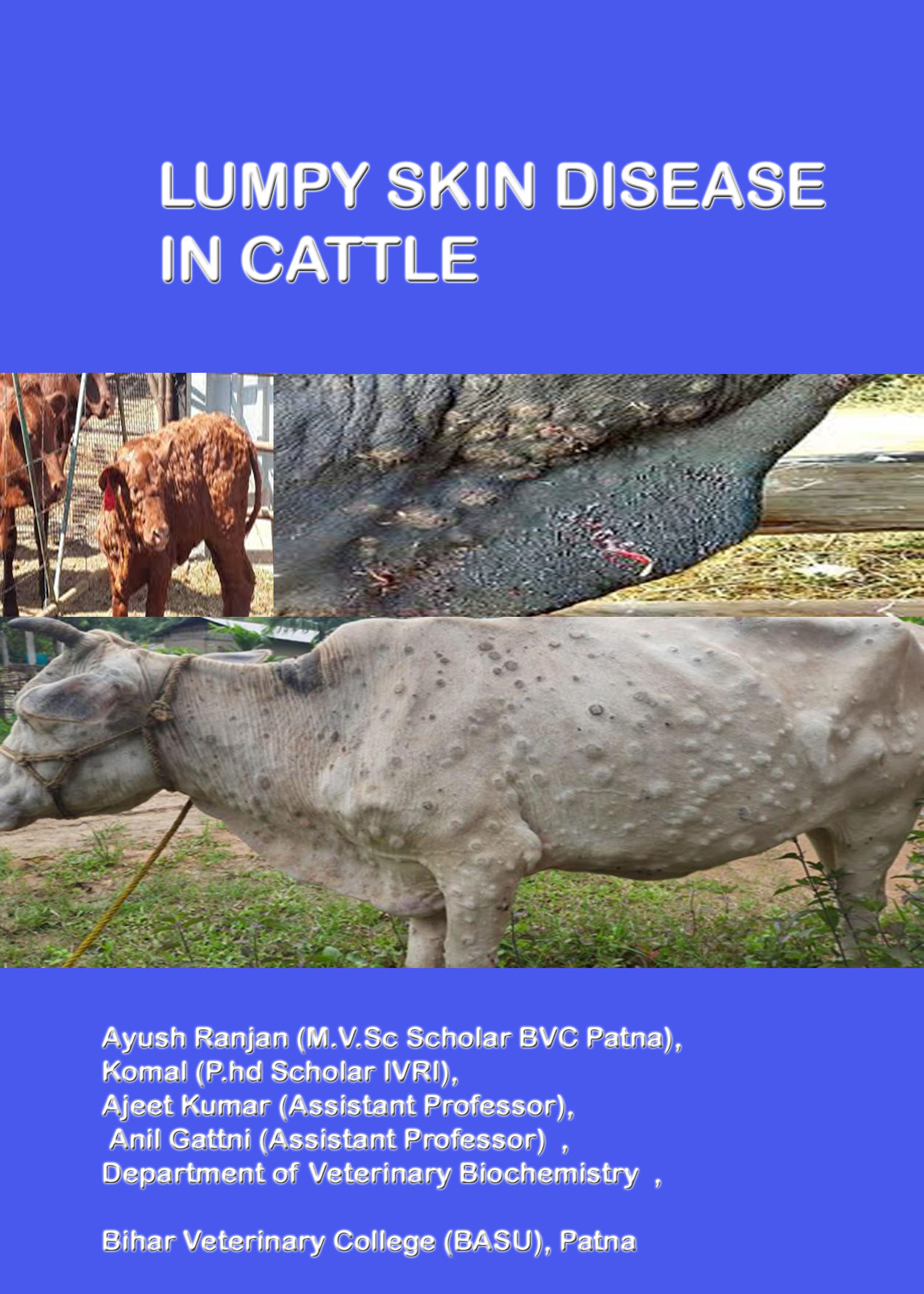 LUMPY SKIN DISEASE IN CATTLE – Pashudhan praharee LUMPY SKIN DISEASE IN CATTLE – Pashudhan praharee