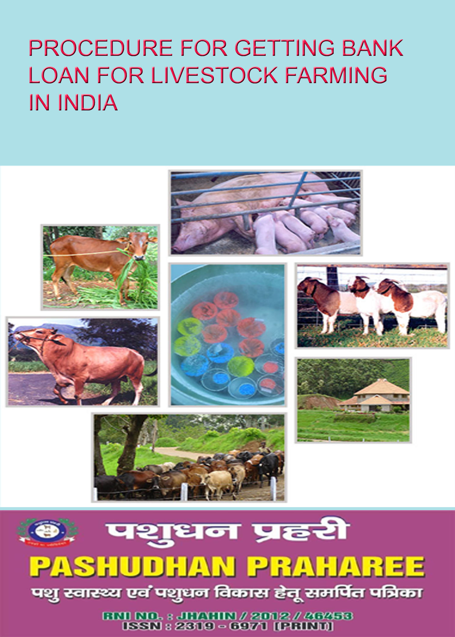 PROCEDURE FOR GETTING BANK LOAN FOR LIVESTOCK FARMING IN INDIA – Pashudhan  praharee