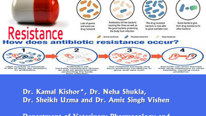 Antibiotic Resistance: A fiery crisis