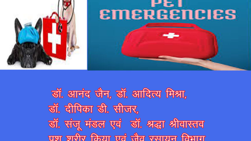 EMERGENCY FIRST AID TREATMENT IN ANIMALS