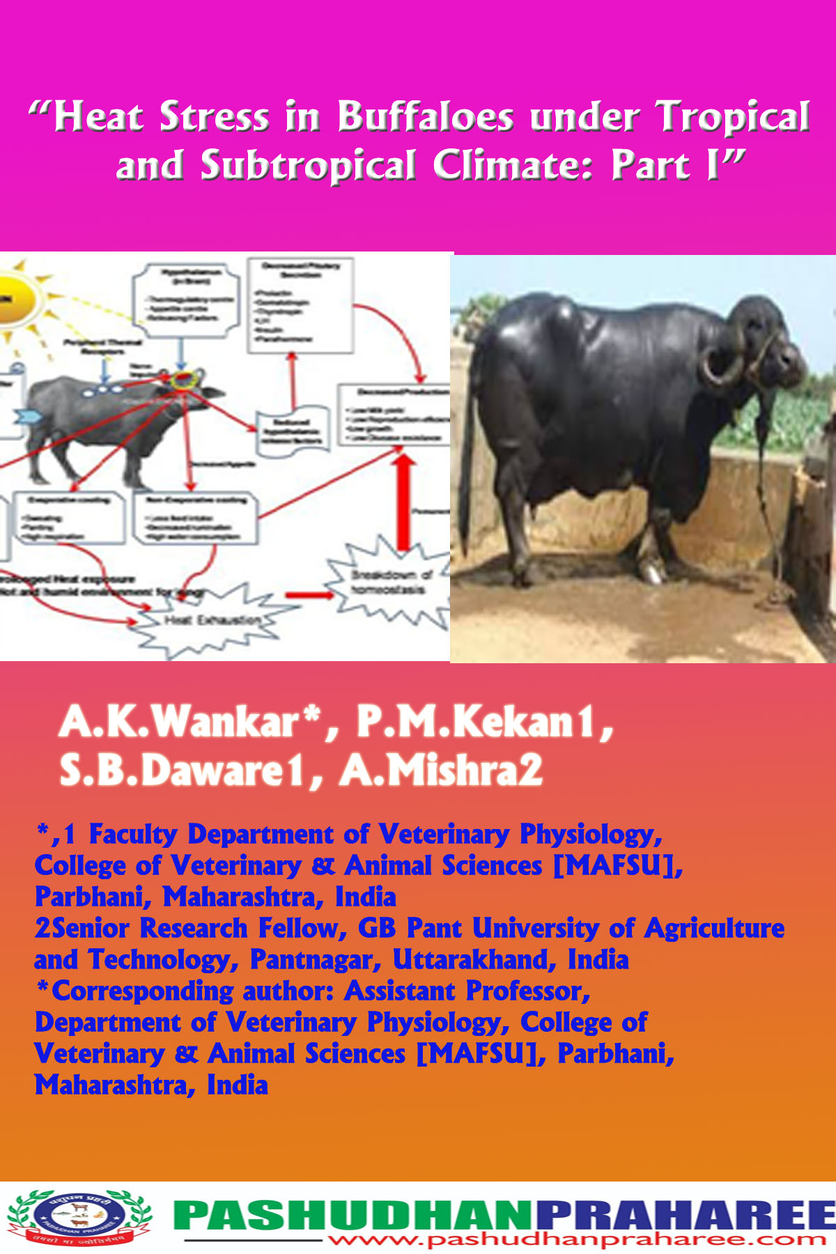 Heat stress in buffaloes under tropical and subtropical climate: Part I –  Pashudhan praharee