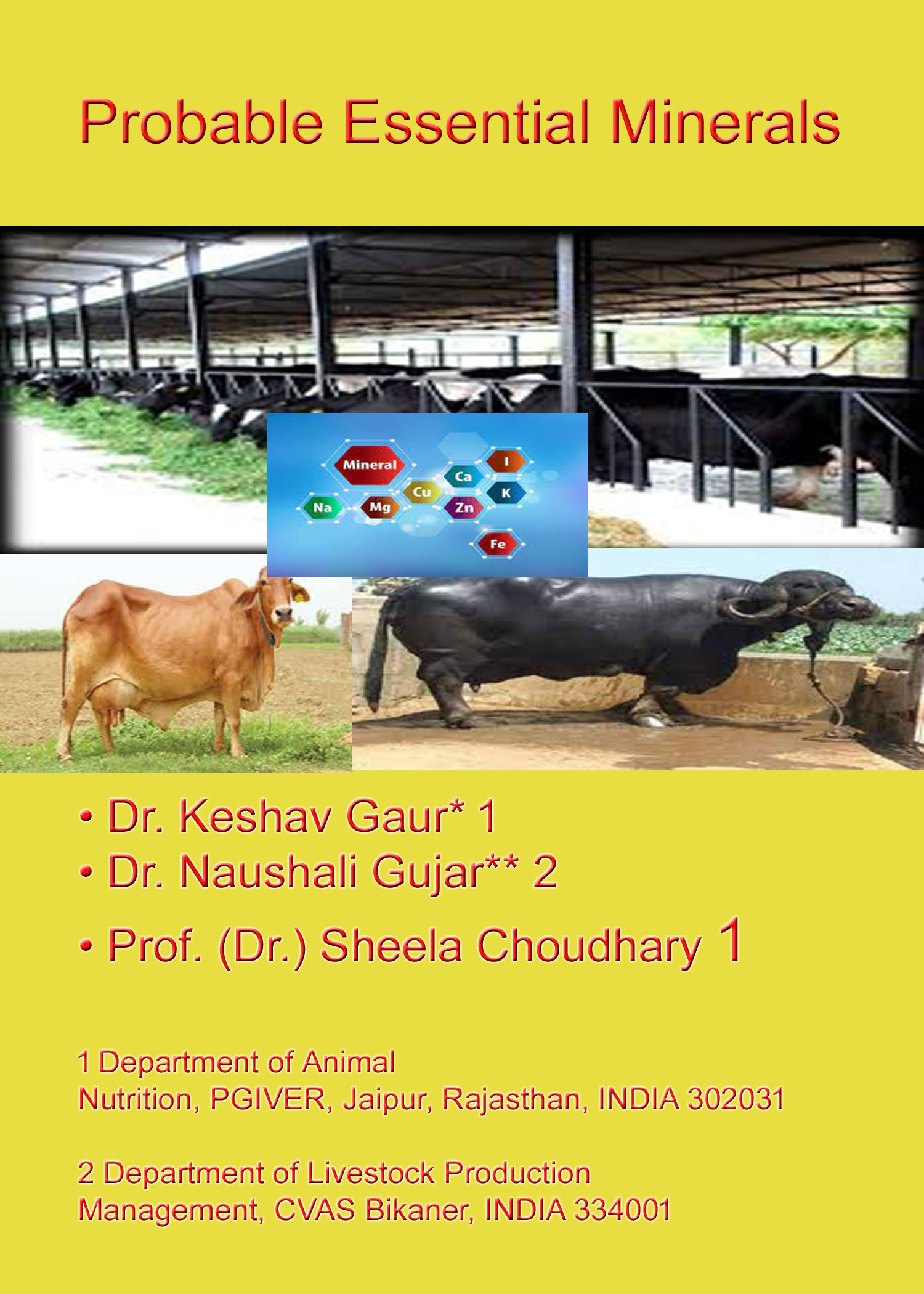 Probable Essential Minerals – Pashudhan praharee Probable Essential Minerals – Pashudhan praharee